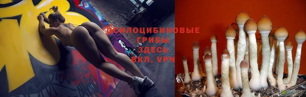 герыч Абинск