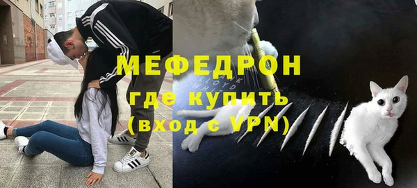 дживик Инта