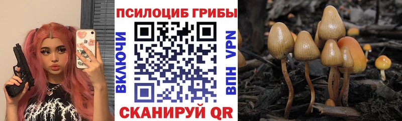 kraken рабочий сайт  Белоусово  Галлюциногенные грибы MAGIC MUSHROOMS 